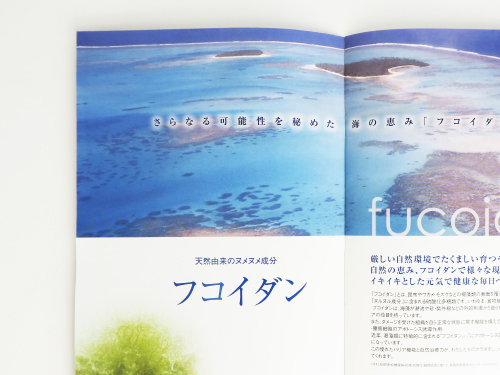 清涼飲料水商品の効能説明パンフレット・冊子